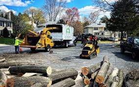 Best Tree Trimming and Pruning  in Lake Barrington, IL